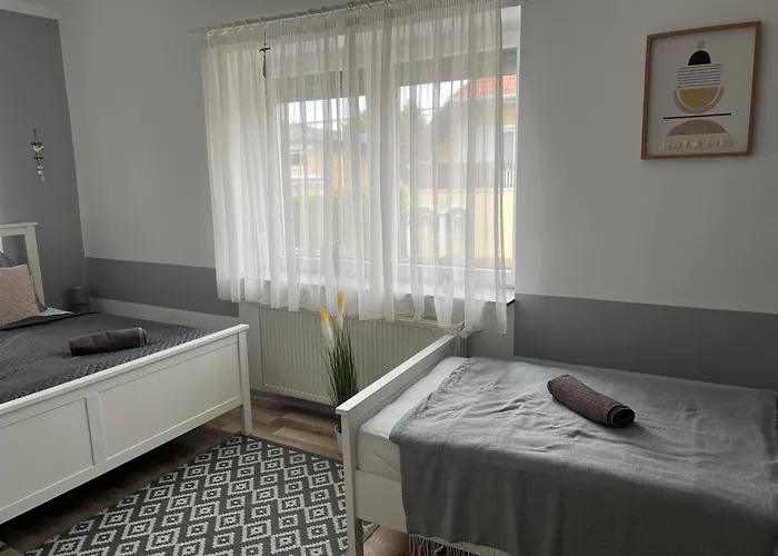 게스트하우스 Szarkafeszek 4*